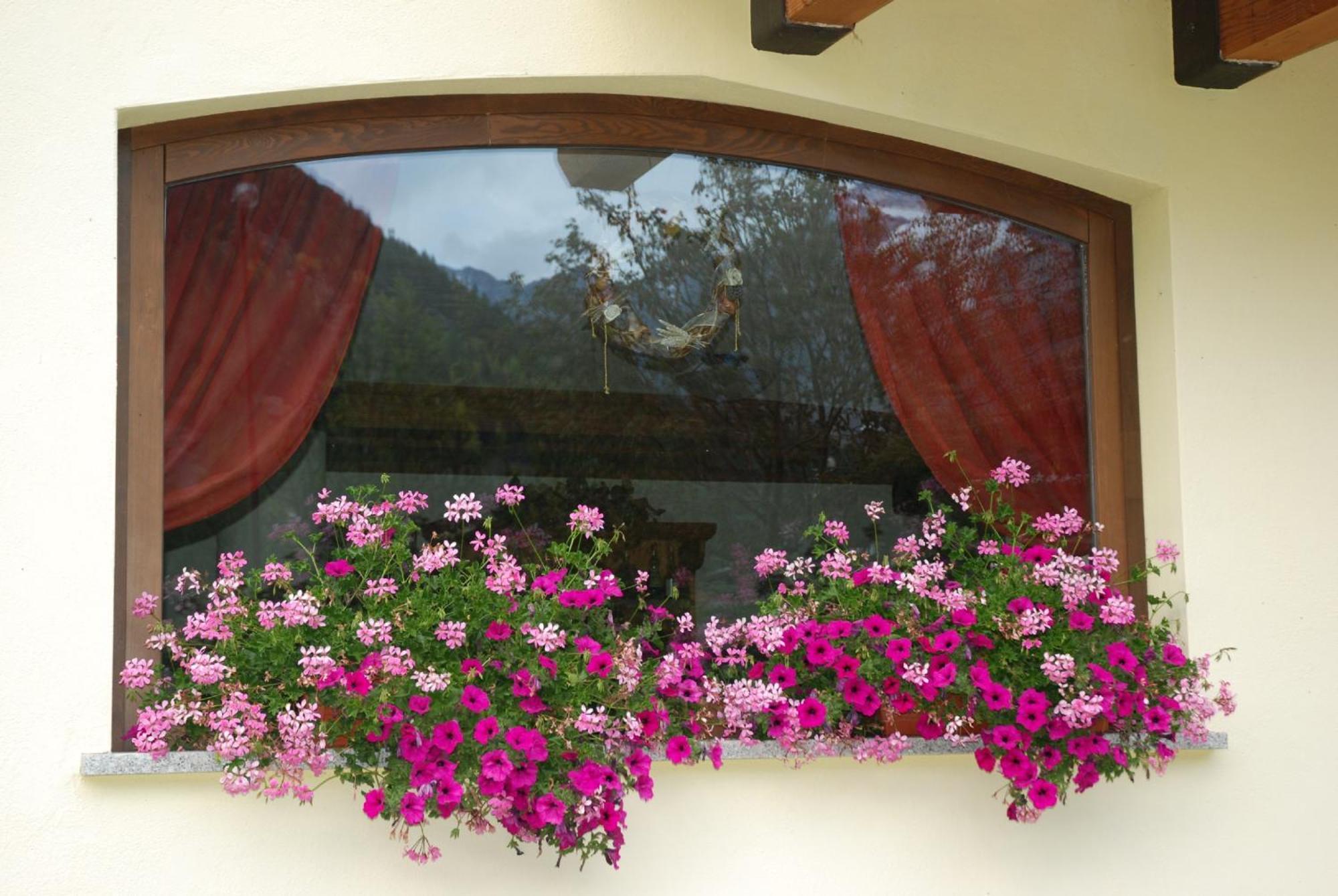 Residence Les Nigritelles Cogne Exterior photo